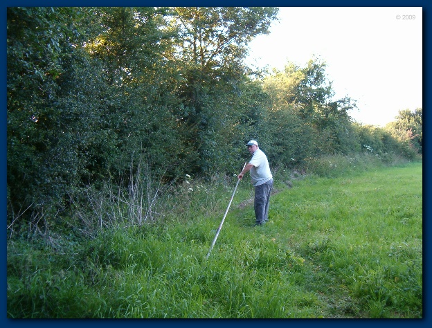 600x449 pixels (178K)